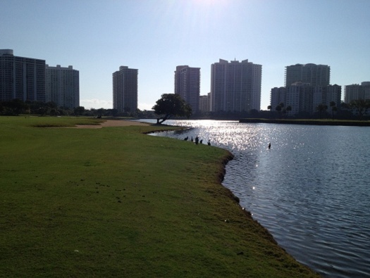 Golf Course Golf Course